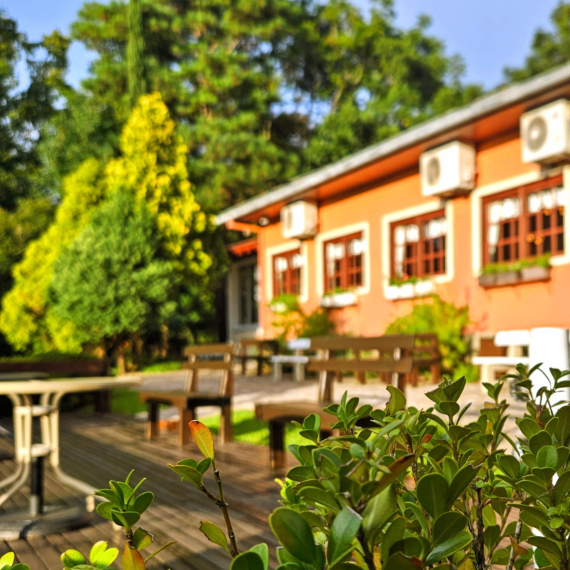Fachada e deck externo do Café Colonial Walachay rodeado por vegetação na Serra Gaúcha